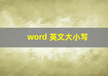 word 英文大小写